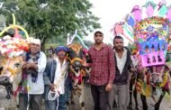 जायनावाडी येथे बैलपोळा मोठया उत्साहात साजरा.