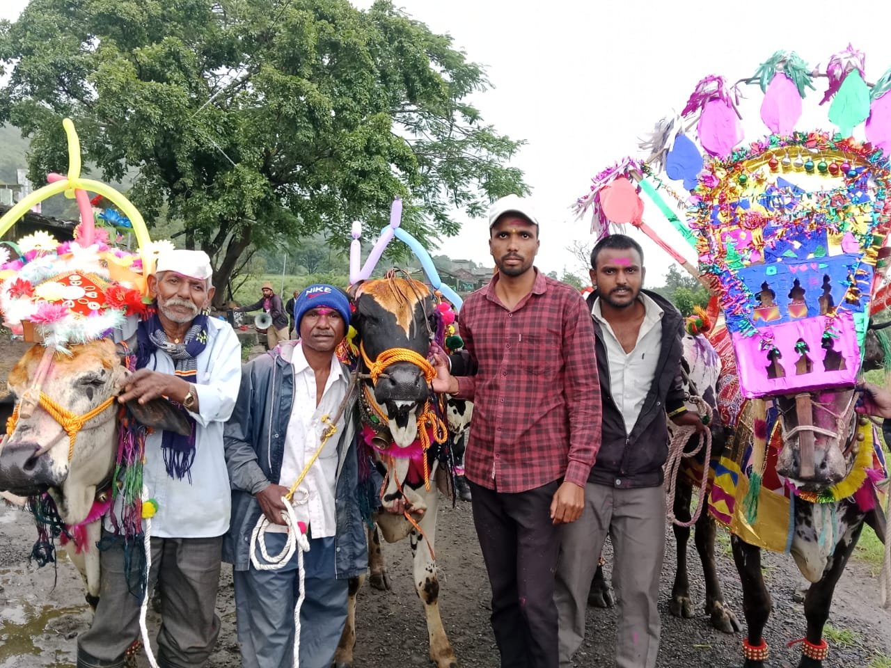 जायनावाडी येथे बैलपोळा मोठया उत्साहात साजरा.
