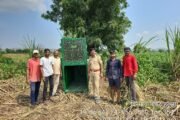 वीरगावात सकाळीच बिबट्याचा दोघांवर प्राणघातक हल्ला