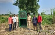 वीरगावात सकाळीच बिबट्याचा दोघांवर प्राणघातक हल्ला
