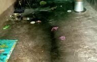 कळस खुर्द येथे निळवंडे धरणाच्या डाव्या कालव्यातून सोडलेल्या पाण्यामुळे आदिवासी समाजावर मोठे संकट !