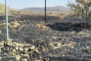 अकोले तालुक्यातील ब्राम्हणवाडा परिसरात भीषण वनवा: लाखोंचे नुकसान, वन खात्याची उदासीनता!
