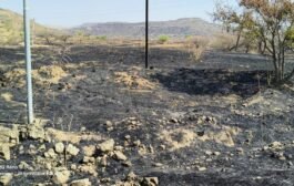अकोले तालुक्यातील ब्राम्हणवाडा परिसरात भीषण वनवा: लाखोंचे नुकसान, वन खात्याची उदासीनता!