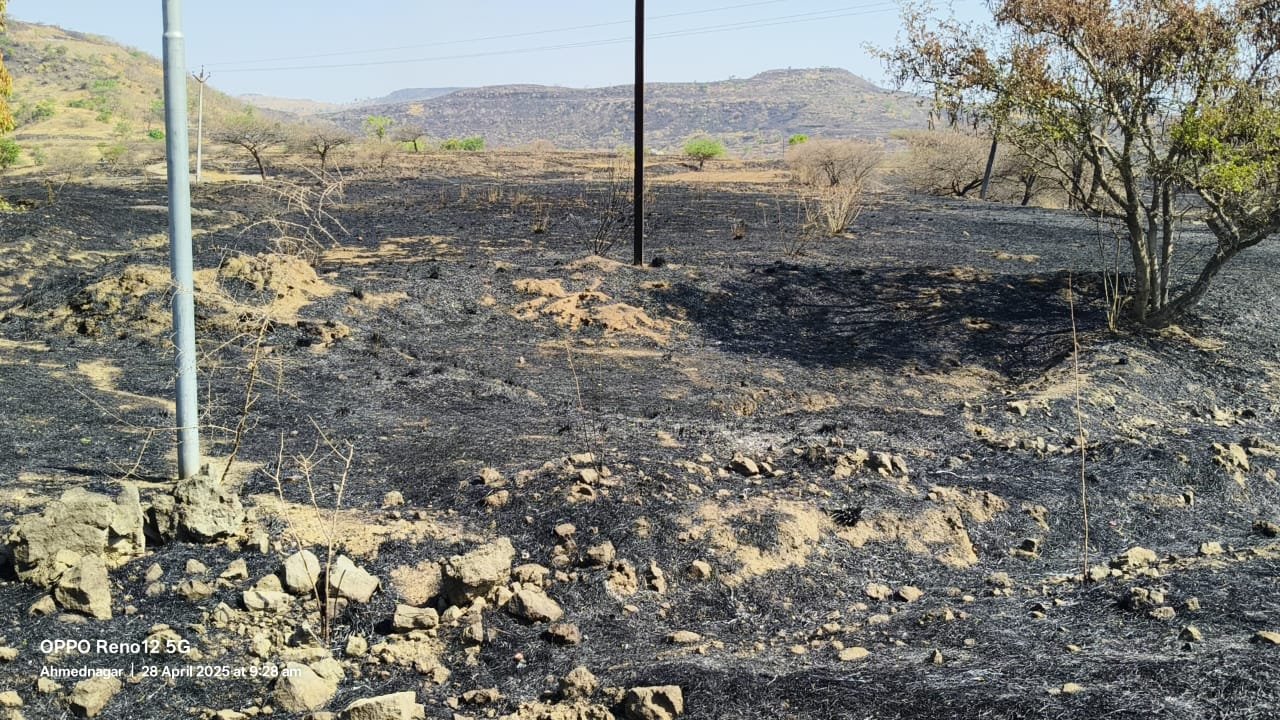 अकोले तालुक्यातील ब्राम्हणवाडा परिसरात भीषण वनवा: लाखोंचे नुकसान, वन खात्याची उदासीनता!