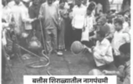 ३२ शिराळा: जिवंत नागाच्या पूजेची एक हजार वर्षांची परंपरा कायदेशीर कचाट्यात – पुनरुज्जीवनासाठी स्थानिकांचा तीव्र संघर्ष!