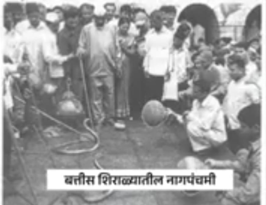 ३२ शिराळा: जिवंत नागाच्या पूजेची एक हजार वर्षांची परंपरा कायदेशीर कचाट्यात – पुनरुज्जीवनासाठी स्थानिकांचा तीव्र संघर्ष!